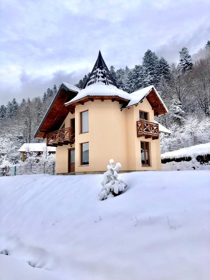 Лучка Villa Mykulychyn Dış mekan fotoğraf